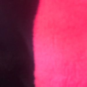 Meet your Posher, Janet